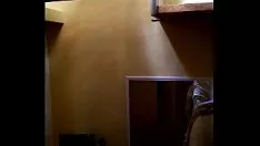 Putar Berteriak dan mengerang bspoil (suara)
