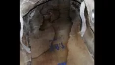 تشغيل خطاب رسمها نائب الرئيس