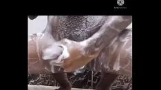 Reproducir ¿Puede masturbarse el semen?