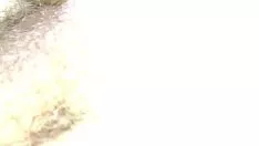 تشغيل Mierda concha de tu madre msanies duerme