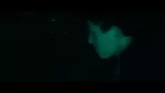 Jouer Film de cire doublé