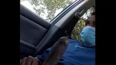 Oynat senin kedicik için