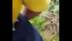 Riproduci Il terreno era asciutto nel dominio