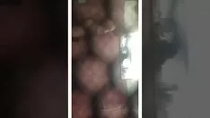 चलाएँ विजेता हैड्रियन
