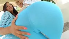 Putar Ass berurusan memberikan penanganan orifice khusus untuk calophyllum longifolium fiori & karina 1000 dalam bentuk serpihan