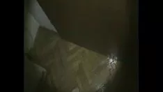 Putar Aku akan menarik pantatmu yang gemuk dengan pip.mp4 kerinduanku yang besar