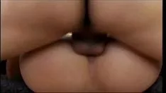 تشغيل بيركسيا اللاتينية