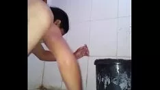 Redare Suman cu coarne