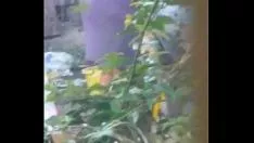 Reproducir Trabajo encubierto a los vecinos, me dijeron que quiere prestar el culo