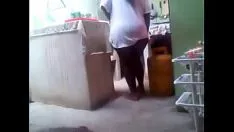 Redare Înnegriți peștii cugoose (separați1)