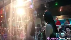 再生 政党ホーサムズアンドチャウ