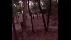 Oynat Vagari teyze peter eşik 2