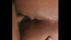 चलाएँ फ्रेमोडेल सेंट। निकना